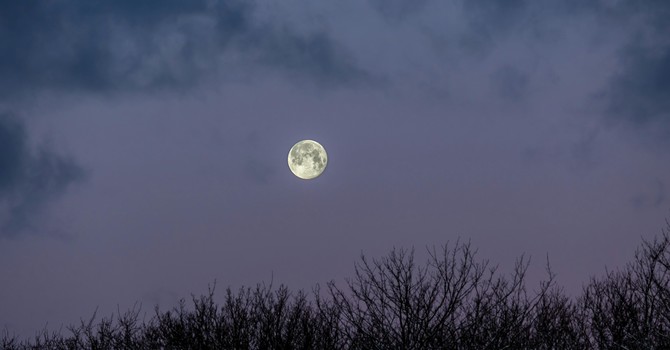 Connecting the Dots:  image